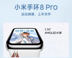 画像7: 原神　Xiaomi Smart Band 8 Pro　タルタリヤモチーフ【中国語／英語】【特殊航空便、船便】 (7)